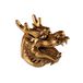 Lachineuse Chinese drakenkop