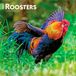 Roosters Browntrout Publishers Roosters - Hähne 2027 - 16-Monatskalender