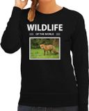 Bellatio Decorations Bol Dieren foto sweater Vos - zwart - dames - wildlife of the world - cadeau trui Vossen liefhebber XS