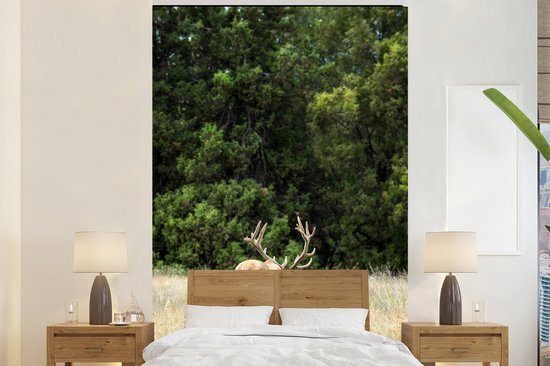 Nr1Wallpaper Behang - Fotobehang Hert - Gras - Bos - Breedte 170 cm x hoogte 260 cm