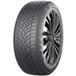RoadX Winterreifen Frost Tempo ( 225/60 R17 99H )