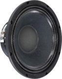 VISATON PAW 25 - 10 inch Luidsprekerchassis - 300 W - 8 Ohm