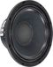VISATON PAW 25 - 10 inch Luidsprekerchassis - 300 W - 8 Ohm