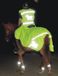 HKM Reflecterende uitrijdeken. universe Geel/Reflecterend Polyester One size