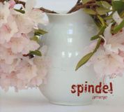 Music&Words Spindel - Aminje (CD)