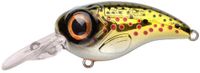 Spro Fat Iris CR Hardlure 5 cm Brown trout
