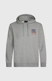 O'Neill Small Logo Hoodie Heren Grijs Maat M
