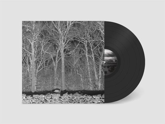 Sunshine Pile - Sunshine And Balance Beams (LP)