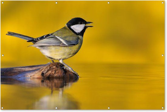 GreatGardenPosters Tuinposter - Vogel - Boom - Water - Geel - Natuur - 180x120 cm - PVC - Tuinposter buiten - Wanddecoratie - Tuindecoratie - Tuindoek - Buitenposter