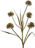 Viv! Home Luxuries Distel - Kunstbloem - Goud - 102cm