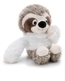 NICI 62417 Knuffelluiaard Izzy Icetumbler, 25 cm, beige