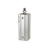 RIEGLER 106076-7.DMA.40020 Compacte cilinder LINER, dubbelwerkend, AG, Kol.-Ø 40, Hub 20, G 1/8, 1st