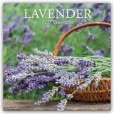 Lavender Gifted Stationery Co. Ltd Lavender - Lavendel 2027 - 16-Monatskalender
