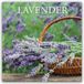 Lavender Gifted Stationery Co. Ltd Lavender - Lavendel 2027 - 16-Monatskalender