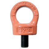 Godet Icecat Hijsoog met wartel HQ - Hefvermogen 300 kg tot 12.500 kg