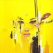 Bertus Distributie In Vision Vanish Invisible CD