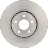 BREMBO Remschijf (09.9133.81)