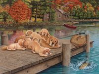 Cobble Hill Puzzle Lazy Day on the Dock 275 pièces