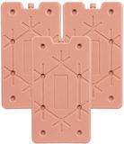 Excellent Houseware Koelelement Ice Pack - 3x - oudroze
