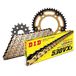 Kettingset DID Kettingset Stealth 530VX3 / 120 klinknagel slot goud voor Honda CBF F FA A 1000 cc Bj. 2006-2010