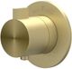 IVY Tribe Afbouwdeel Inbouwthermostaat Symmetry met Rond Rozet - RVS 316 Geborsteld Mat Goud PVD