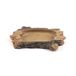 TERRATLANTIS TD Feeder Trunk 23 cm