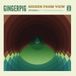 Suburban Gingerpig - Hidden from View (LP, Red, 180g)