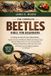 The Complete Beetles Bible for Beginners