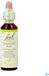 Bach Flower Remedie 07 Chestnut Bud 20ml