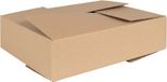 vidaXL Vouwdoos met opslag 50 stuks Naturel 40 x 30 x 10 cm Karton