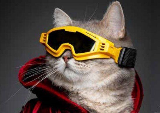 Croci Horizon Yellow S Zonnebril voor Katten