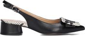 Notre-V 3341 Hakken Dames - Zwart - Maat 40