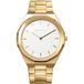 Bering 19641-730 Montre homme Quartz Classique doré Acier