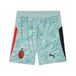PUMA Sportbroek 'AC Milan 25/26' pastelgroen / donkerrood / zwart