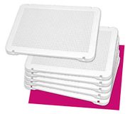 Miniland Educational 154227 – transparante plaat voor PEGS wit 31 x 21 mm – 6 stuks