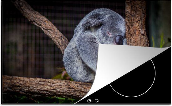 KitchenYeah® Inductie beschermer 77x51 cm - Australië - Koala - Boom - Inductiebeschermer