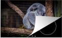 Merkloos KitchenYeah® Inductie beschermer 77x51 cm - Australië - Koala - Boom - Inductiebeschermer