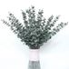 Unyqoos® Set van 36 kunstmatige eucalyptus takken
