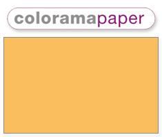 Colorama 194 Sunflower 2.72 x 11m - 5060101581346