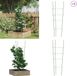 vidaXL Plantensteunen - 5 stuks - met 4 ringen - 90 cm - Staal - Groen