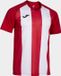 Joma Inter Iv T-shirt Met Korte Mouwen Rood M Man