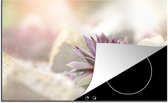 KitchenYeah® Inductie beschermer 77x51 cm - Vetplant - Paars - Inductie kookplaat accessoire