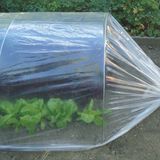 Tenax Tunnelfolie 2x10m Transparant