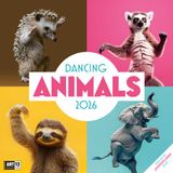 Ackermann Verlag Dancing Animals Wandkalender 2026