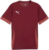 Puma TeamGOAL Matchday Shirt Heren - Maat M