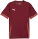 Puma TeamGOAL Matchday Shirt Heren - Maat M