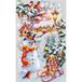 Magic Needle 250-735 ZW wintervakantie kruissteekset met telpatroon Zweigart Edition, katoen, meerkleurig, 17x27cm