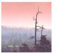 Music&Words Klabbes Bank Save The Forest (CD)