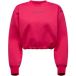 La Sportiva Sweatshirt court avec logo femme La Sportiva Heritage