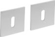 Intersteel Magneet rozet vierkant met sleutelgat rvs geborsteld